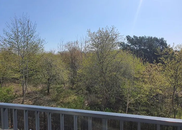 Sloneczny Poranek 12 Sloneczna Dolina *